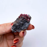 Erythrite ~COLLECTION~ ref05