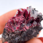 Erythrite ~COLLECTION~ ref05