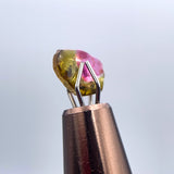 Tourmaline Melon d'Eau tranche extra - ref08