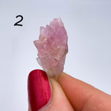 Quartz rose cristallisé ~COLLECTION~