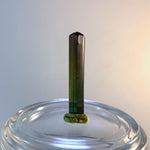 Tourmaline verte cristal terminé - Taille 1