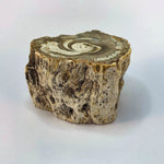 Bois Fossile - Morceau brut - ref24