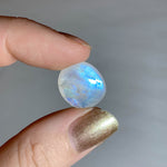Labradorite blanche - Taille 1