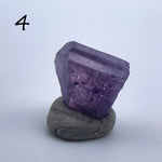Scapolite violette - Taille 1